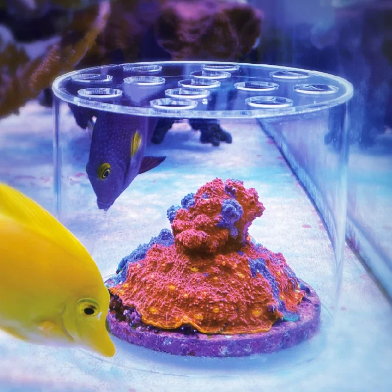 Marine Aquarium Glue - Vastocean حوض السمك الاكريليك المرجان المغذية