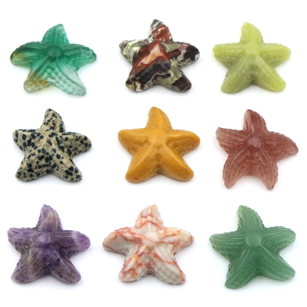 Aquarium Marine Fish - 35 مللي متر نجم البحر شكل