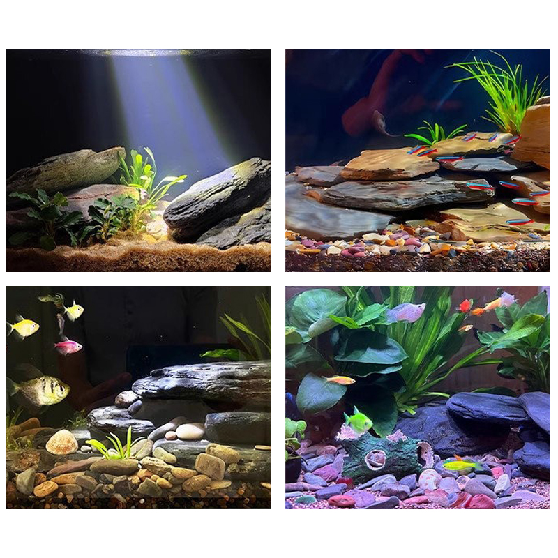 مجموعة أحجار تنسيق أحواض السمك - مراجعة Aquarium Marine Fish وسعره