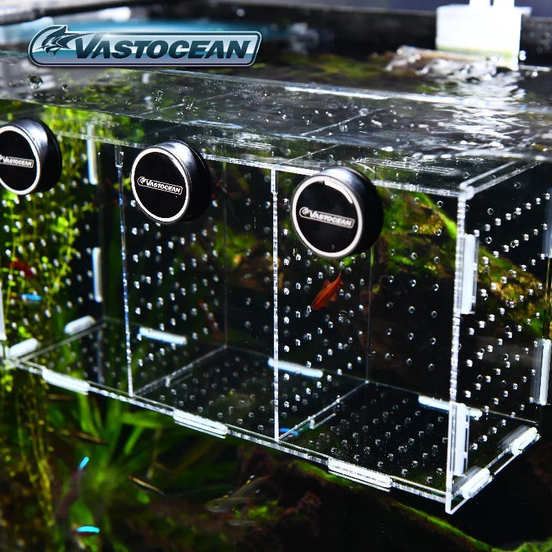 VASTOCEAN خزان الأسماك المغناط - مراجعة Marine Aquarium Glue وسعره