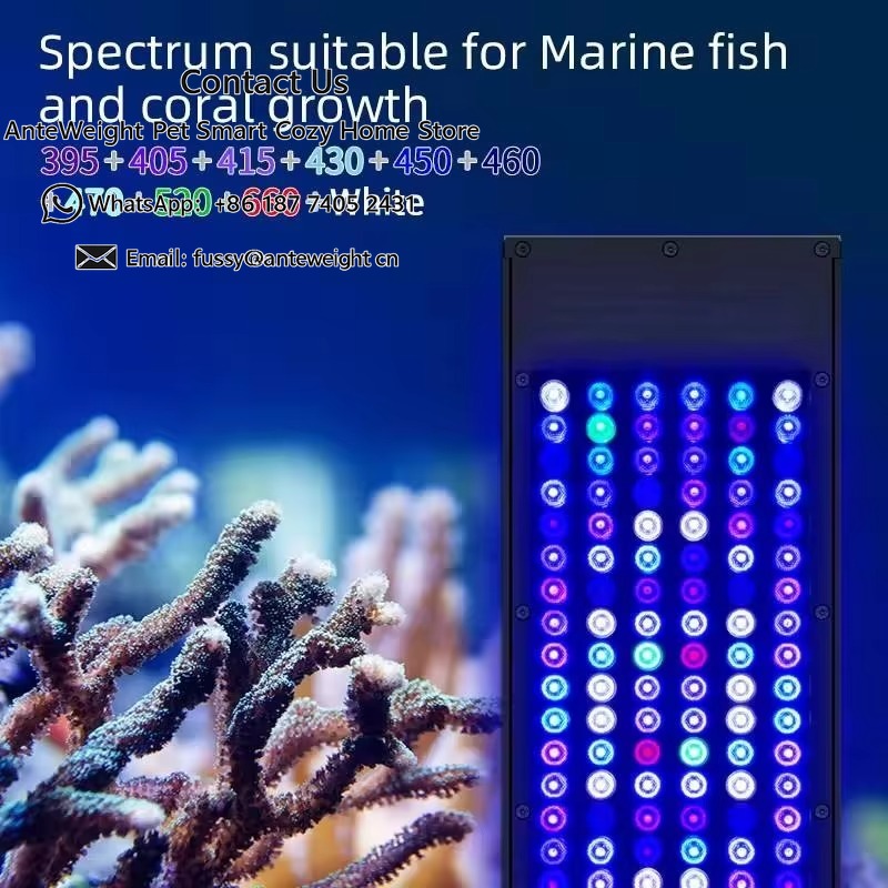 مصباح حوض السمك الذكي Z250Sea/ - مراجعة Marine Aquarium Led Lights وسعره