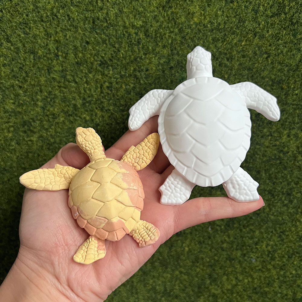 قالب سيليكون على شكل سلحفاة بح - مراجعة Marine Aquarium Epoxy وسعره