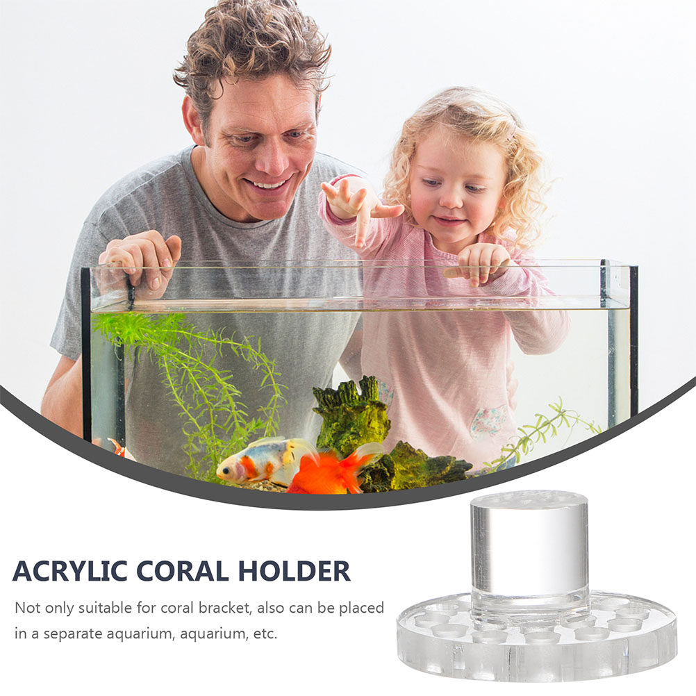 10 قطع من حوامل المرجان الأكري - مراجعة Marine Aquarium Glue وسعره