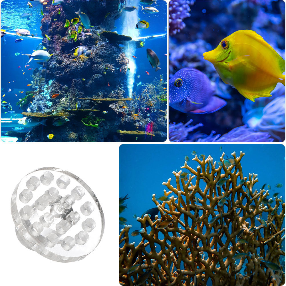10 قطع من حوامل المرجان الأكري - مراجعة Marine Aquarium Glue وسعره