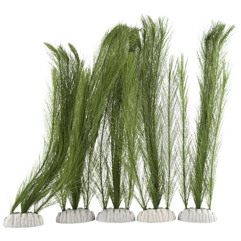 ديكورات حوض السمك، نباتات خضرا - مراجعة Aquarium & Marine Science Center وسعره