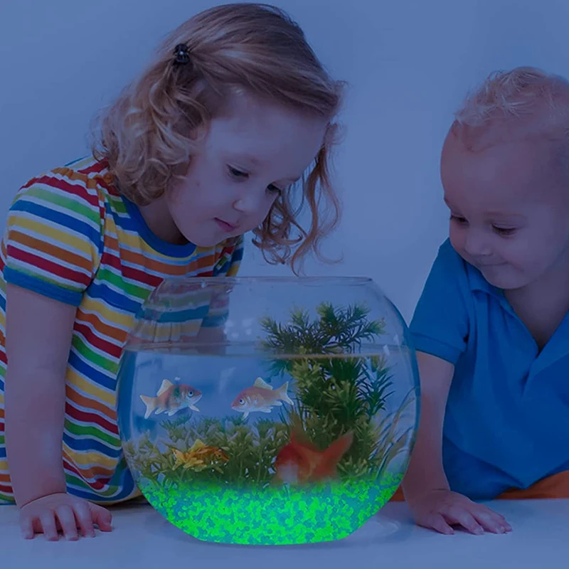 حصى رمال مضيئة في الظلام ، من  - مراجعة Aquarium Marine Fish وسعره