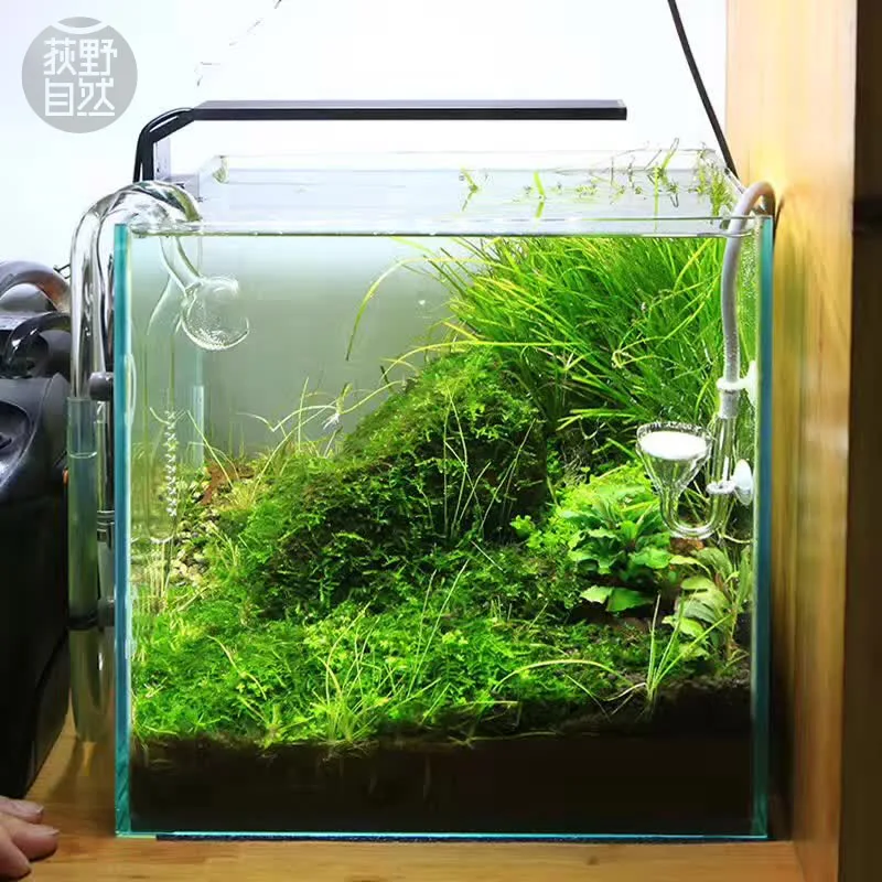 Chihiros C Series ADA Style Pl - مراجعة Marine Aquarium Led Lights وسعره