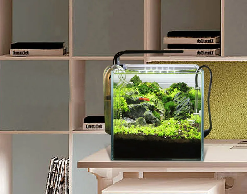 Chihiros C Series ADA Style Pl - مراجعة Marine Aquarium Led Lights وسعره