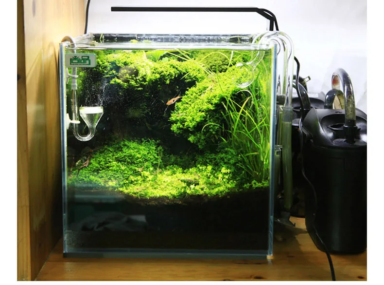 Chihiros C Series ADA Style Pl - مراجعة Marine Aquarium Led Lights وسعره