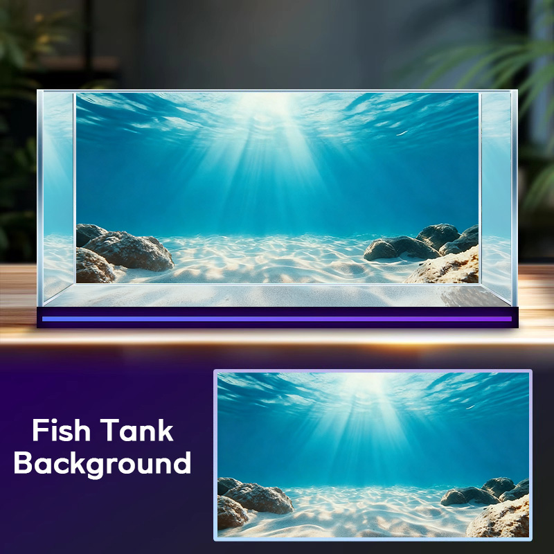 رمل بحري أزرق شفاف، لوحة خلفية - مراجعة Marine Aquarium Glue وسعره