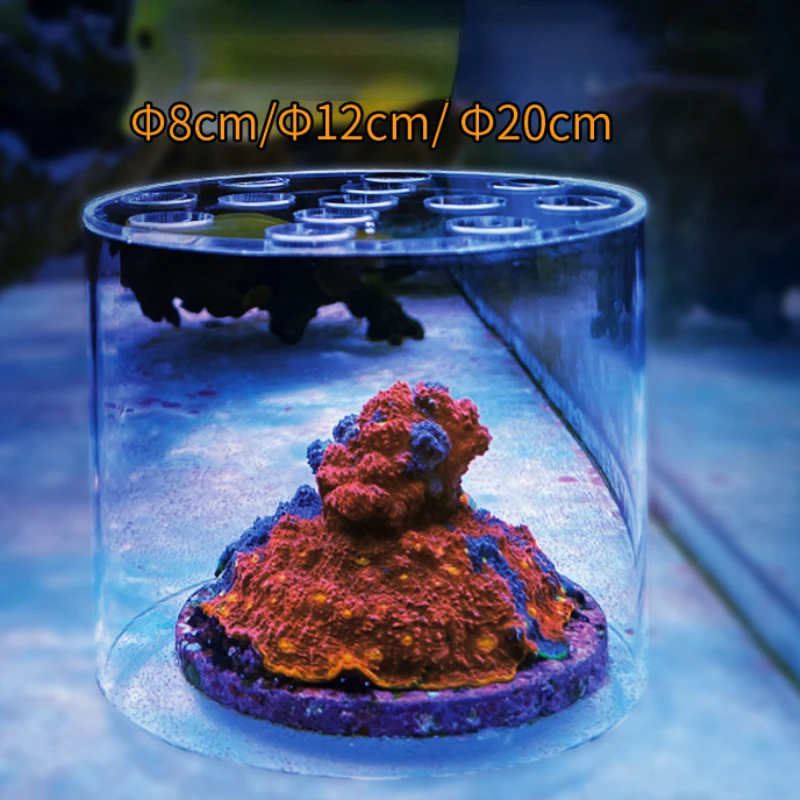 Vastocean حوض السمك الاكريليك  - مراجعة Marine Aquarium Glue وسعره