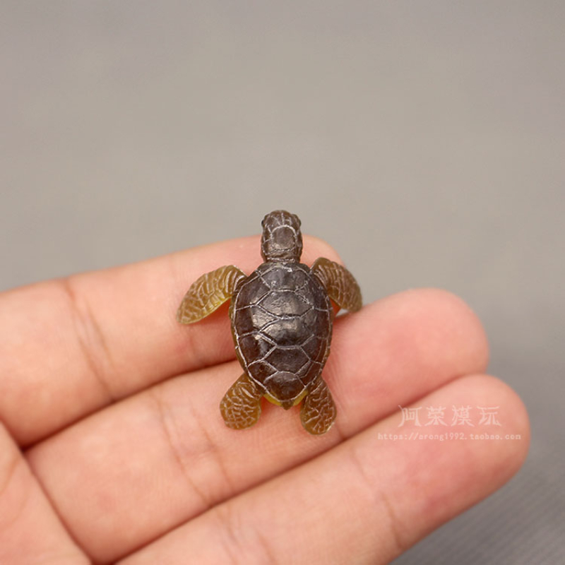 الحياة البحرية السلاحف البحرية - مراجعة Marine Aquarium Japan وسعره