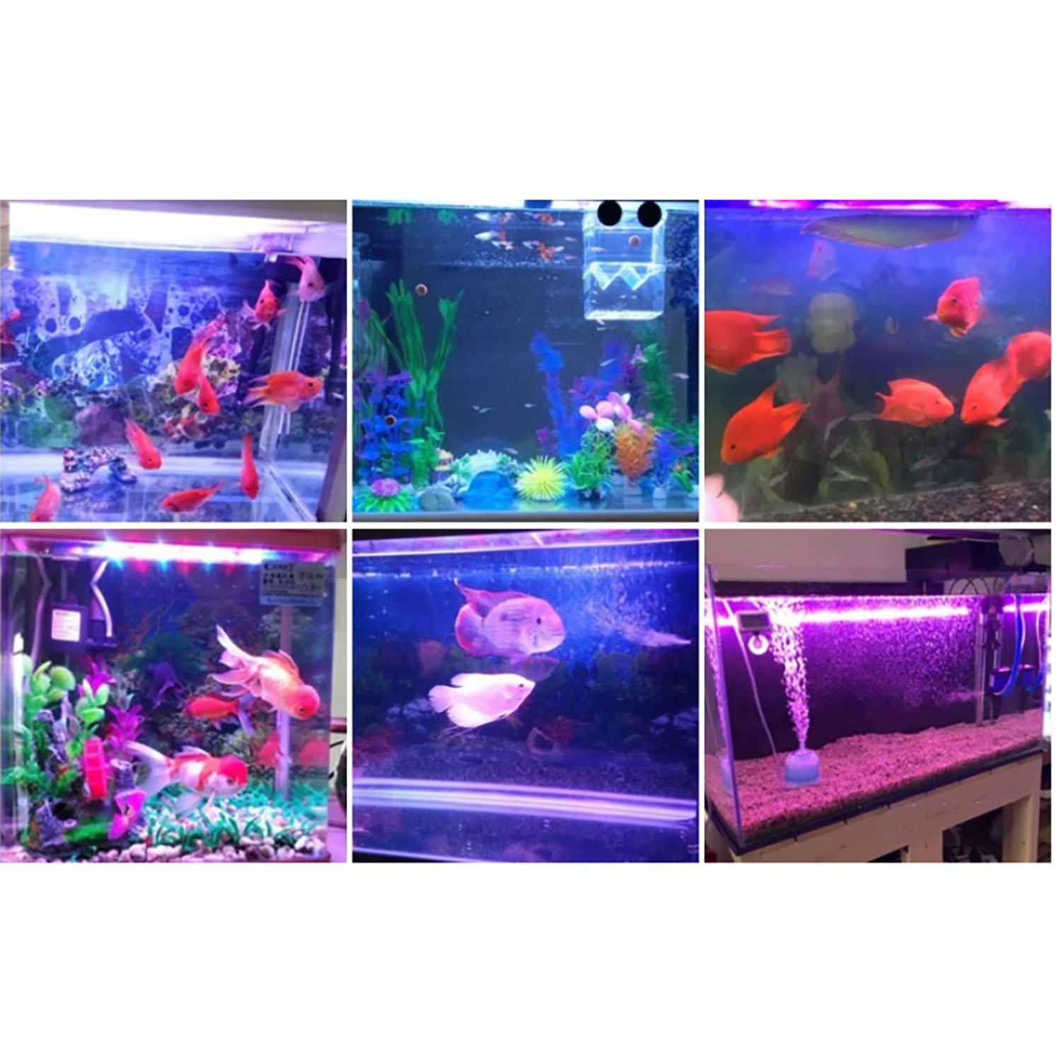 إضاءة LED متعددة الألوان للأحو - مراجعة Aquarium Marine Color وسعره