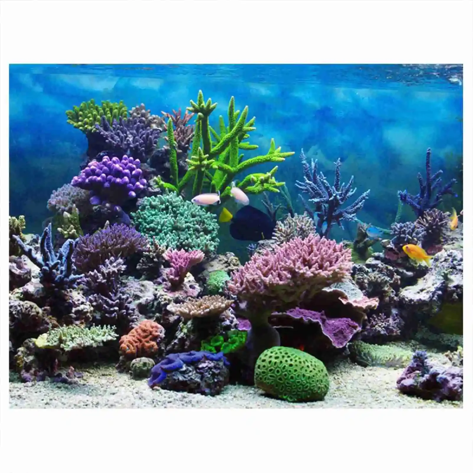 ملصق ثلاثي الأبعاد لحوض السمك  - مراجعة Marine Aquarium Glue وسعره