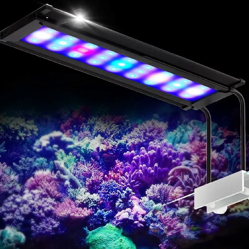 إضاءة LED لأحواض السمك المرجان - مراجعة Aquarium Marine Color وسعره