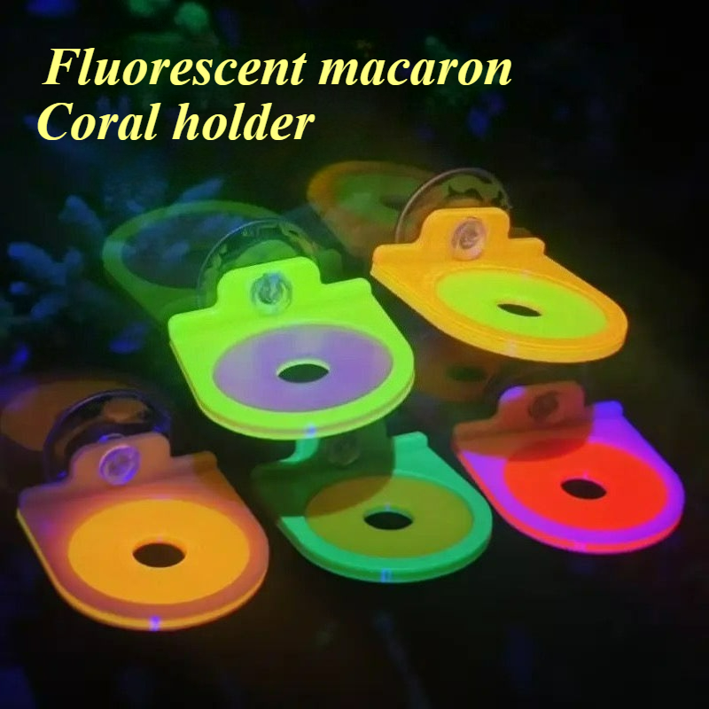 لون عشوائي المرجان Frag حامل ق - مراجعة Aquarium Marine Color وسعره