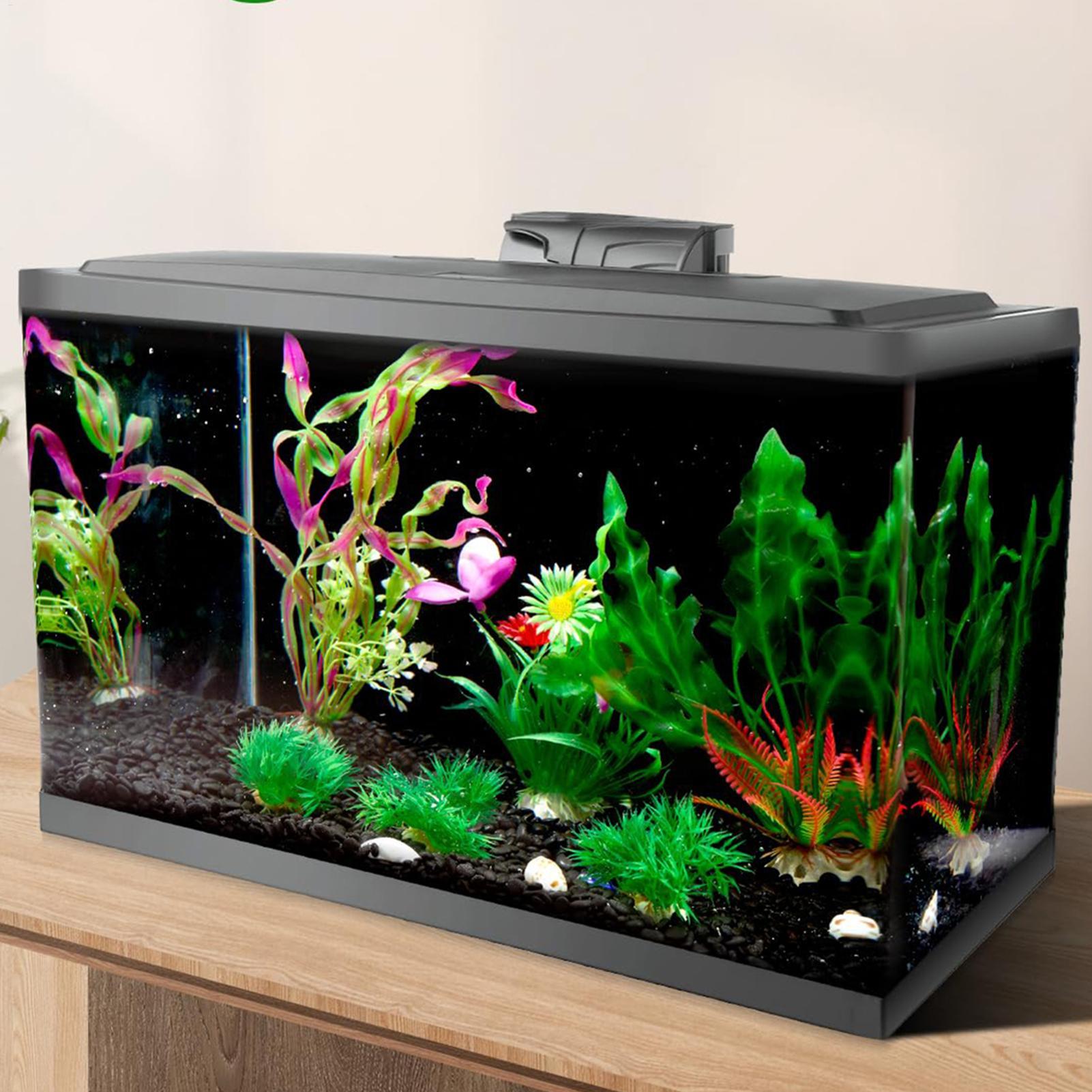 30/40 سنتيمتر خزان الأسماك خلف - مراجعة Marine Aquarium Glue وسعره