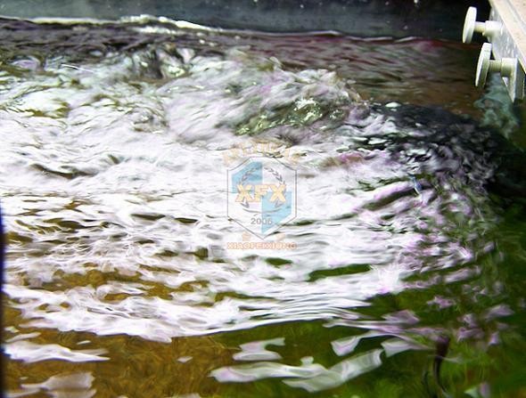 أحدث مضخة صانع الانتحار Sunsun - مراجعة Aquarium Marine Color وسعره