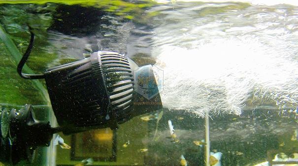 أحدث مضخة صانع الانتحار Sunsun - مراجعة Aquarium Marine Color وسعره