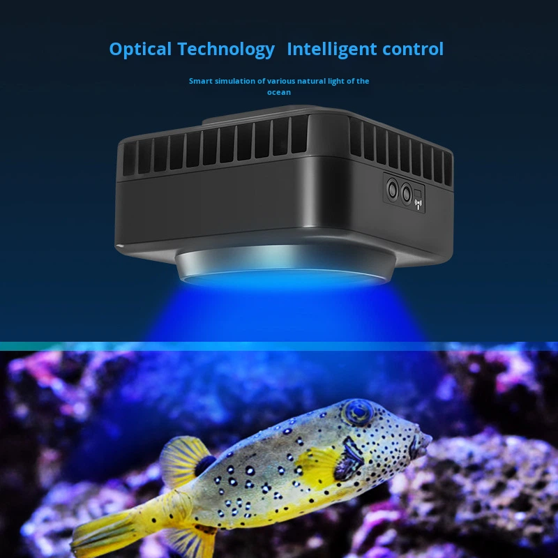 إضاءة ذكية للشعاب المرجانية ال - مراجعة Aquarium Marine Color وسعره